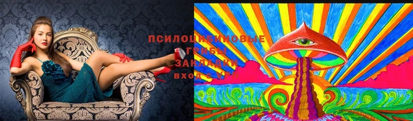 эйфоретик Алексеевка