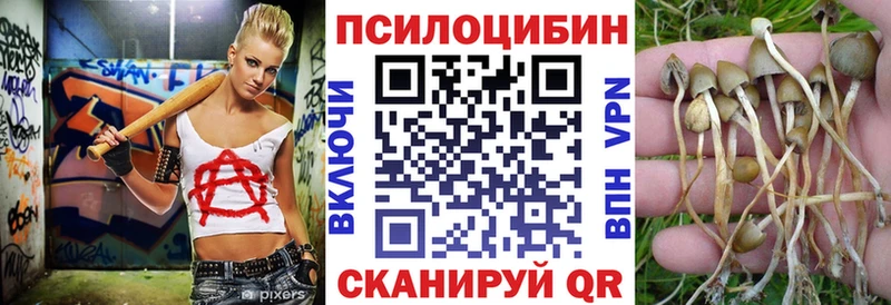 мега онион  Фролово  Псилоцибиновые грибы прущие грибы 